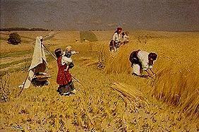Récolte de céréales en Ukraine