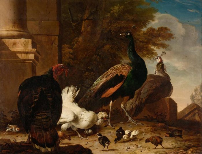 A Hen with Peacocks and a Turkey à 