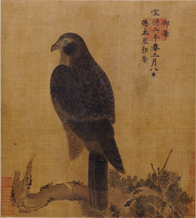 Falcon On A Pine Limb, Emperor Xuande,  C à 