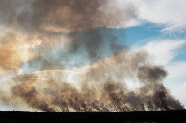 Forest Fire, Everglades National Park (photo)  à 