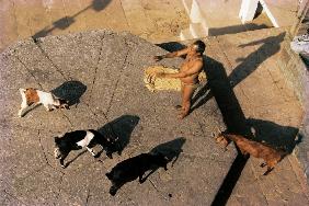 Ghats in morning, Varanasi, Uttar Pradesh (photo) 