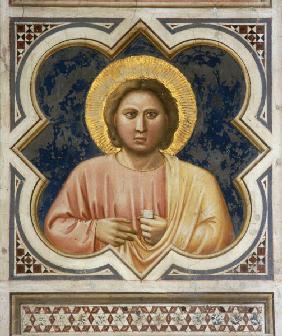 Giotto, Visage masculin / Padoue