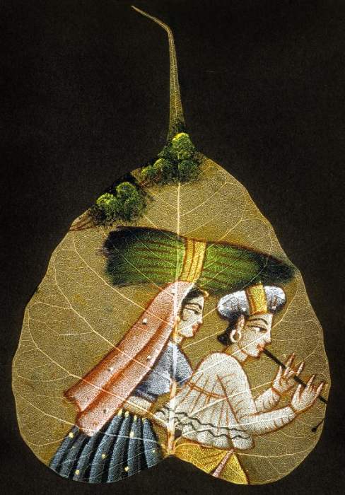 Inde peinture sur feuille d'arbre sechee à 