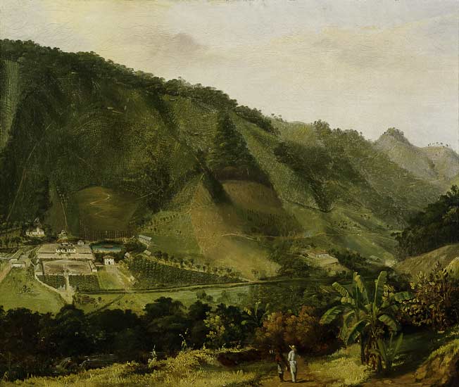 Martinique / Payasage / Peinture 19e à 