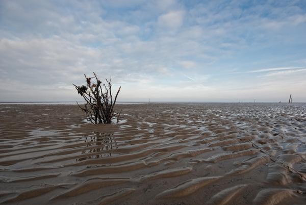 Mer des Wadden près de Cuxhaven