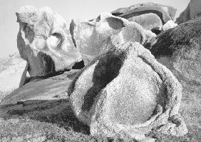 Rocks at Idar (b/w photo) 