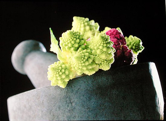 Romanescu in granite pestle & mortar, 2001 (colour photo)  à Norman  Hollands