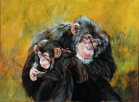 Chimpanzees (acrylic on canvas)  à Odile  Kidd