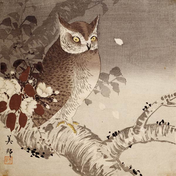 An owl on a tree branch, (colour woodblock print) à Ohara Shôson