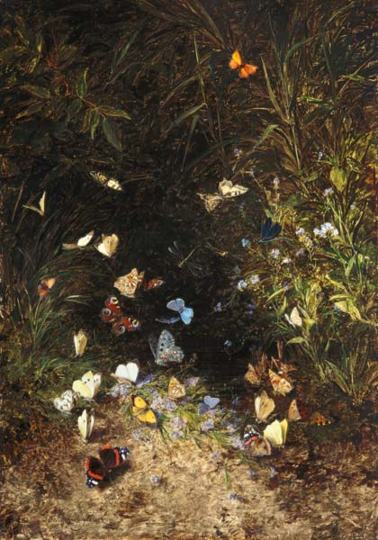 Raison de pré avec des papillons de couleur vive à Olga Wisinger-Florian