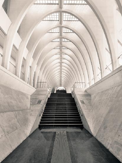 Inside Calatrava