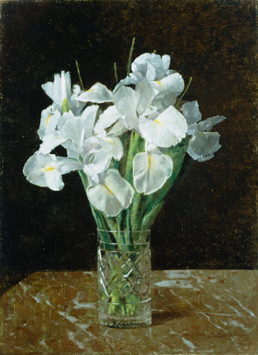 Irises à Otto Franz Scholderer