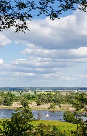 Landschaft an der Oder