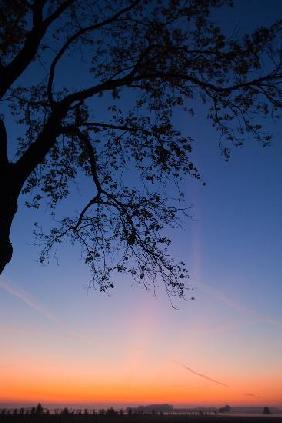 Morgenstimmung in Brandenburg