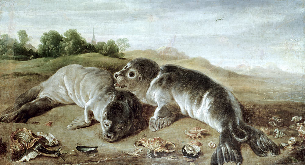 Two Young Seals on the Shore à Paul de Vos