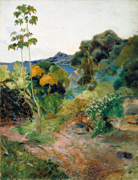 Paysage de la Martinique à Paul Gauguin