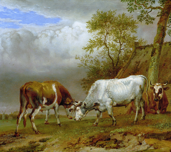 Two Bulls with Locked Horns à Paulus Potter