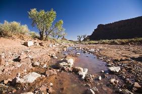 Bach im Valley of the gods Utah USA