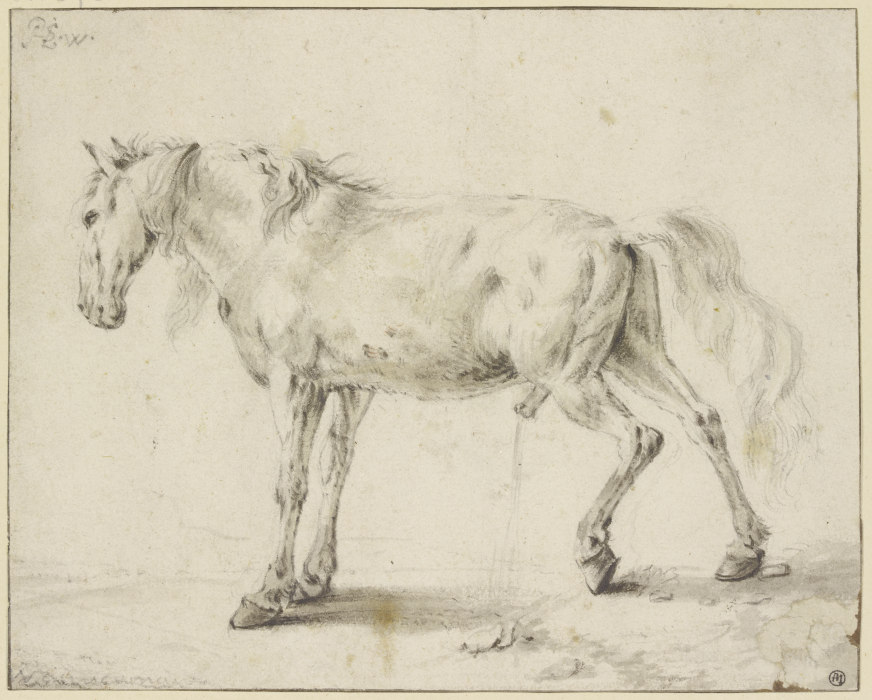 Peeing horse à Philips Wouwerman
