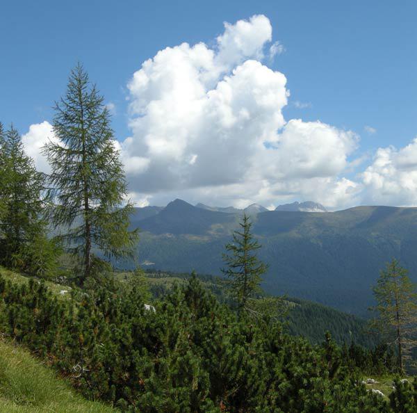 Paysage de montagne en été à Padola 2007
