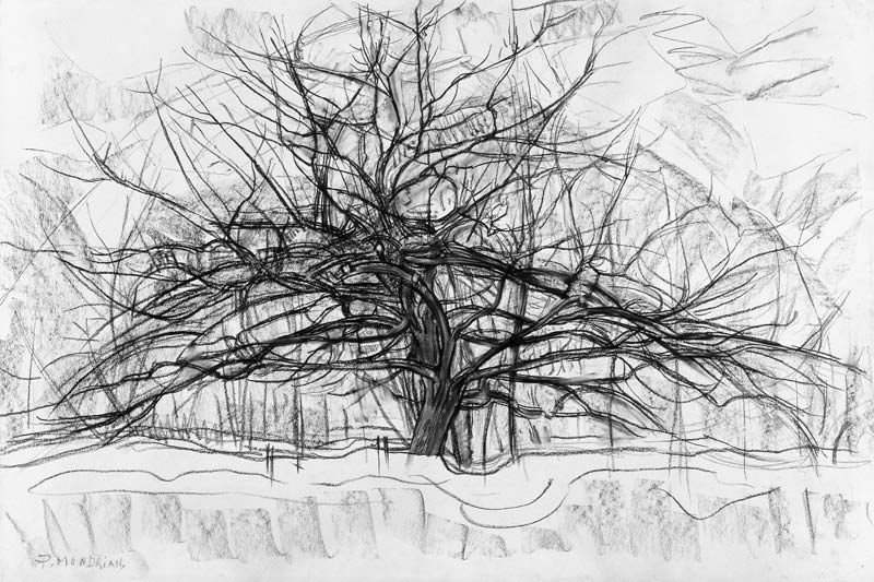 Study for The Grey Tree à Piet Mondrian