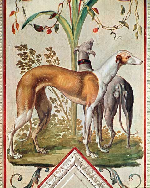 Two Greyhounds à Pietro Rotati