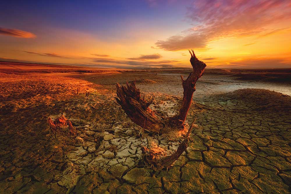 Bloody sunset à Piotr Krol Bax