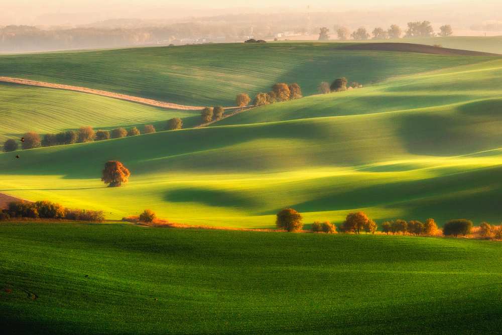 Green fields à Piotr Krol Bax