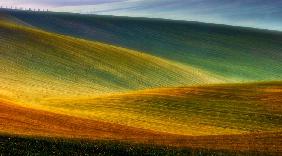 Spring fields - Piotr Krol Bax