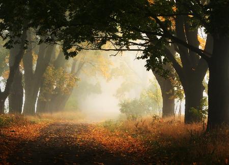 Autumn in Poland