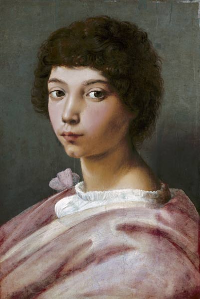 Portrait d'un jeune homme à Raffaello Sanzio