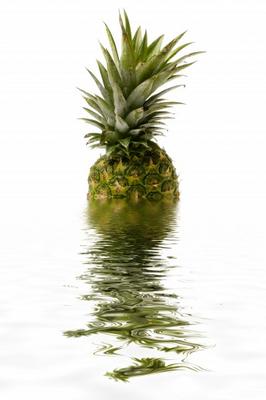 Pineapple à Rainer Junker