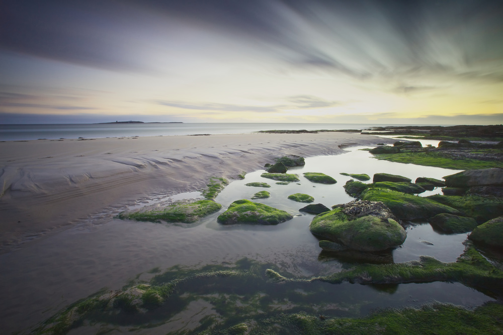 Dawn over Seahouses Beach à Ray Cooper