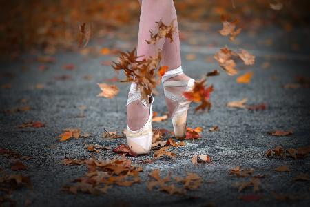 Dance in the fall wind