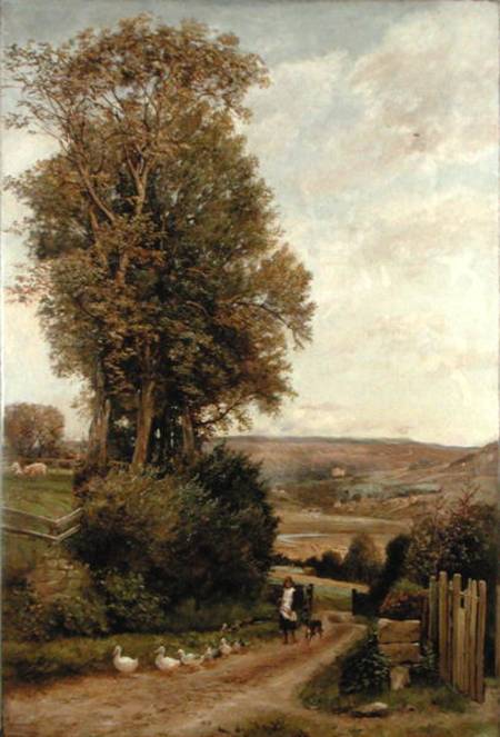 The Vale of Rothbury à Robert Jobling