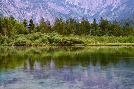 Uferlandschaft spiegelt sich im Almsee