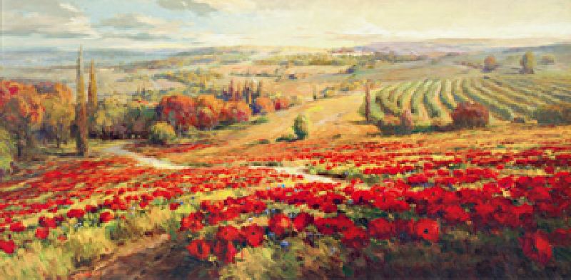 Titre de l‘image : Robert Lombardi - Red Poppy Panorama