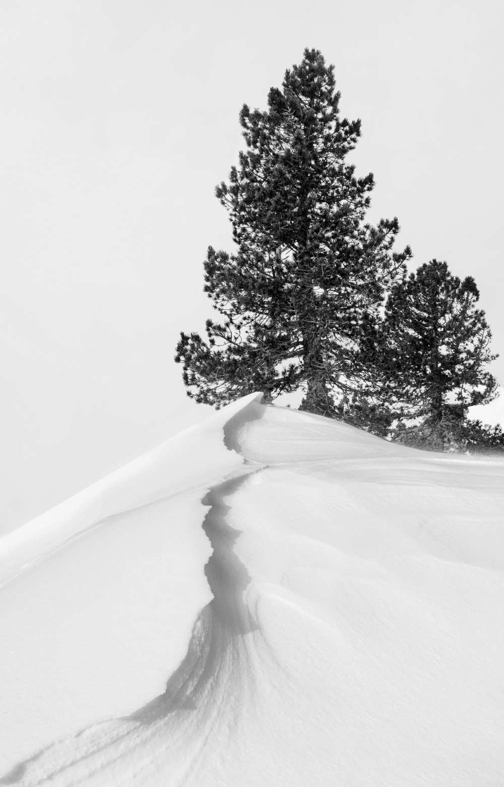 Titre de l‘image : Rodrigo Núñez Buj - À propos de la neige et des formes