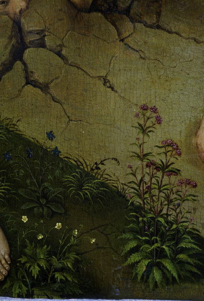R.v.d. Weyden, Plants and flowers à Rogier van der Weyden