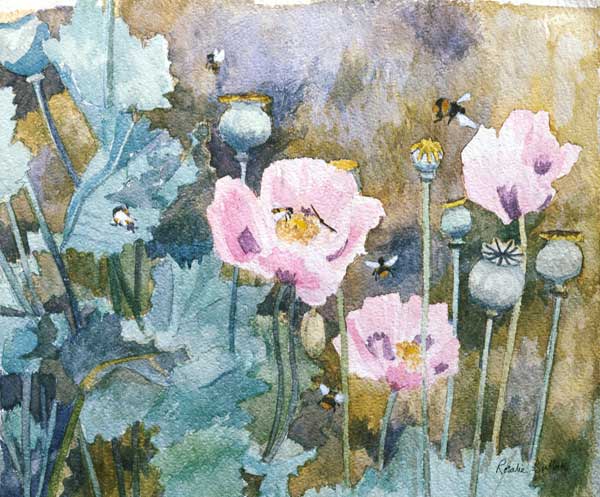 Pink poppies with bees (w/c)  à Rosalie  Bullock