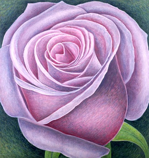 Big Rose, 2003 (oil on canvas)  à Ruth  Addinall