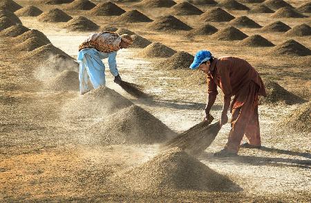 Farm Workers