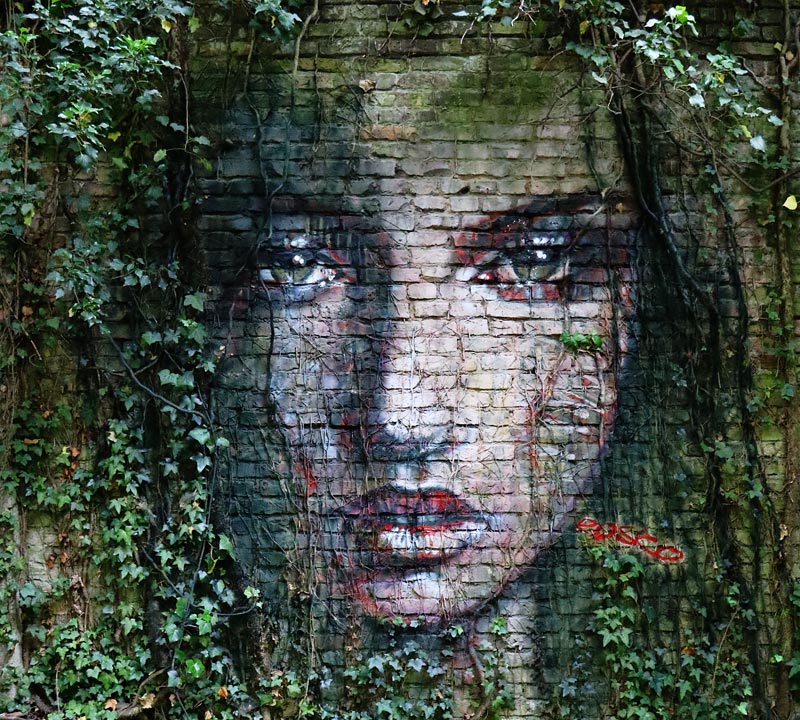 A fairy is looking through the ivy branches à Frank Schröter (Rosco)