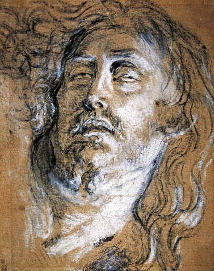 Head of the dead Christ (charcoal & chalk on paper) à Sir Anthony van Dyck