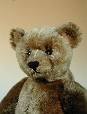 Teddy Bear (detail) à Steiff