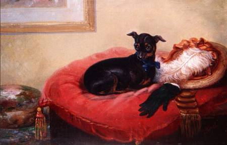 Her Favourite Pet: a Manchester Terrier on a red cushion à Thomas Smythe