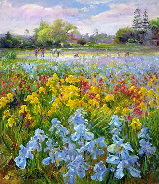 Hoeing Team and Iris Fields, 1993  à Timothy  Easton