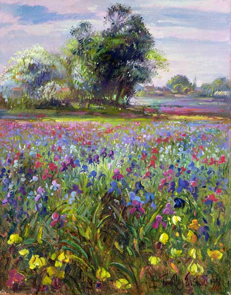 Irises and Distant May Tree, 1993  à Timothy  Easton