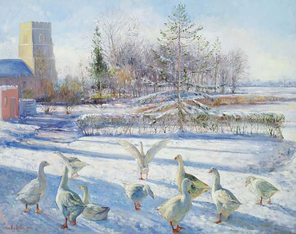 Snow Geese, Winter Morning  à Timothy  Easton