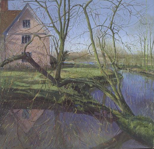 Sprouting Willow Tree à Timothy  Easton